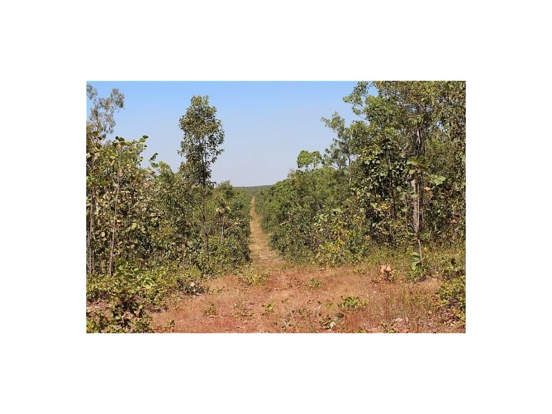 565 Marrakai Road, Marrakai NT 0822