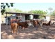 795 Strickland Road, Adelaide River NT 0846