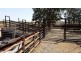 840 & 880 Haynes Road, Adelaide River NT 0846