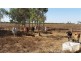 840 & 880 Haynes Road, Adelaide River NT 0846