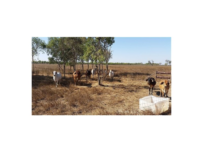 840 & 880 Haynes Road, Adelaide River NT 0846