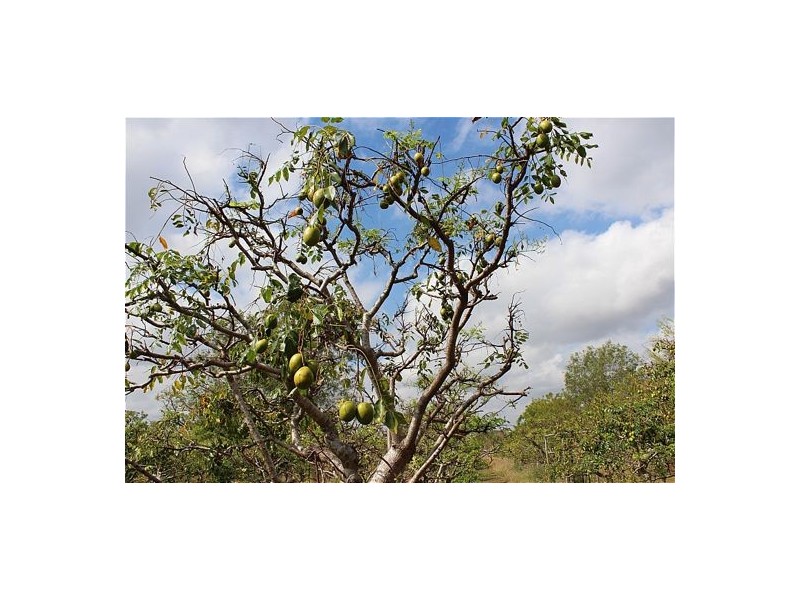 835 Pioneer Drive, Herbert NT 0836