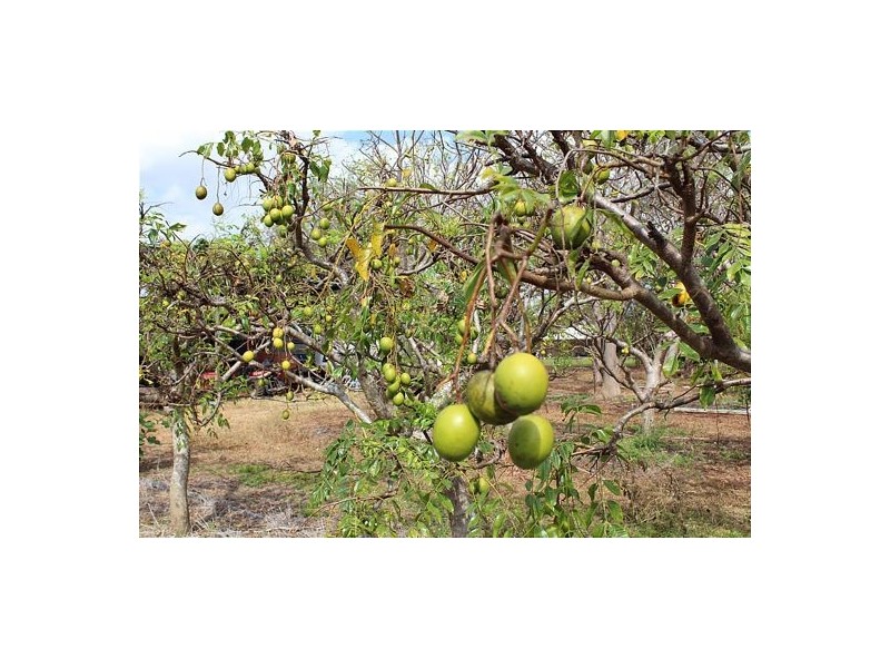 835 Pioneer Drive, Herbert NT 0836