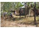 245 Livingstone Road, Livingstone NT 0822