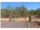 245 Livingstone Road, Livingstone NT 0822