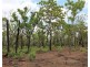 Section 536 Alverly Road, Noonamah NT 0837