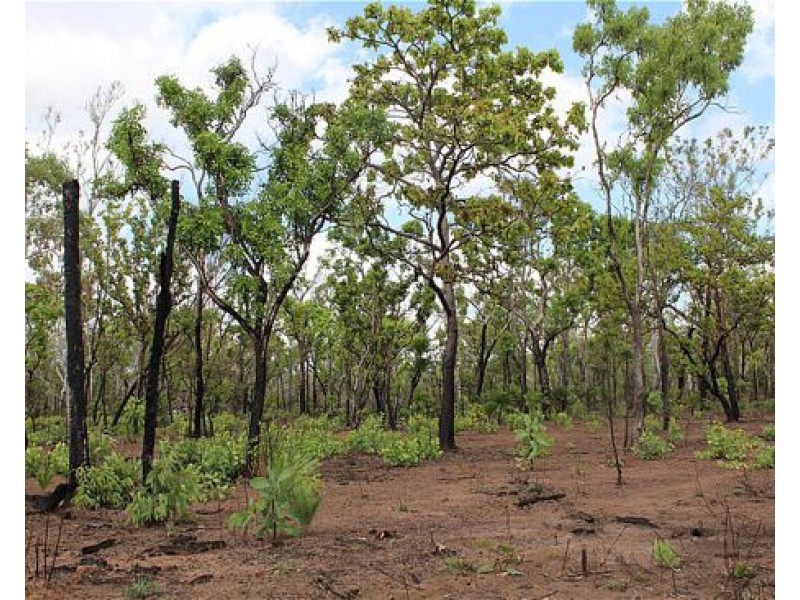 Section 536 Alverly Road, Noonamah NT 0837