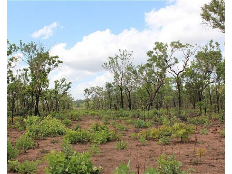 Section 536 Alverly Road, Noonamah NT 0837