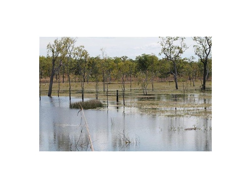 1224 & 1319 White Road, Darwin River NT 0841