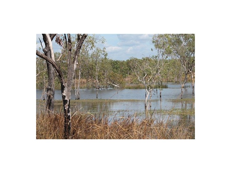 1224 & 1319 White Road, Darwin River NT 0841