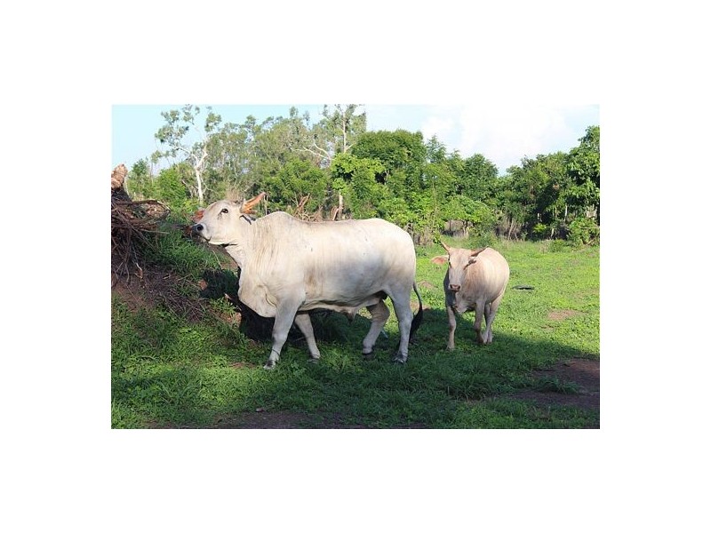 Sec 5778 471 Pioneer Drive, Humpty Doo NT 0836