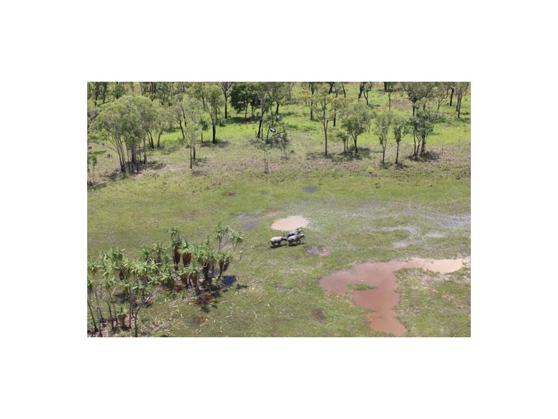 NT Portion 1631 MARY RIVER EAST CATTLE STATION, Katherine NT 0850