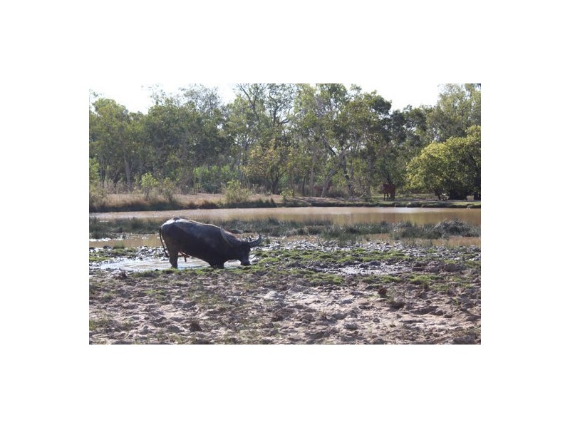 NT Portion 1631 MARY RIVER EAST CATTLE STATION, Katherine NT 0850