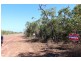 Sec 3650-4890 FOG BAY ROAD, Dundee Downs NT 0840