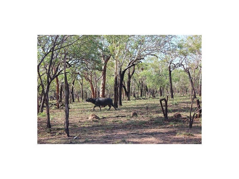 5778 Pioneer Drive, Humpty Doo NT 0836