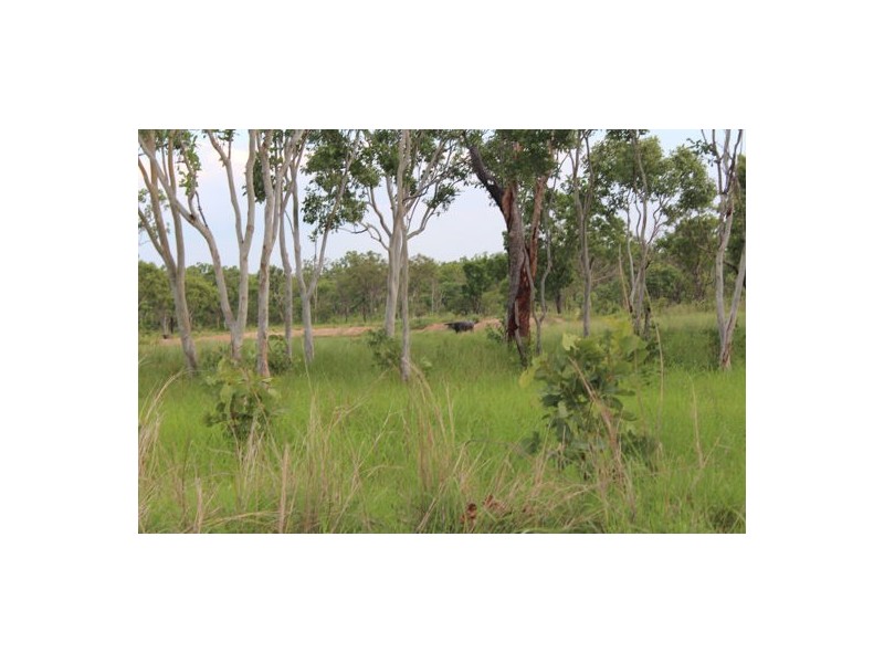 NT Portion 1631 KAKDU HIGHWAY, MARY RIVER EAST STATION, Pine Creek NT 0847