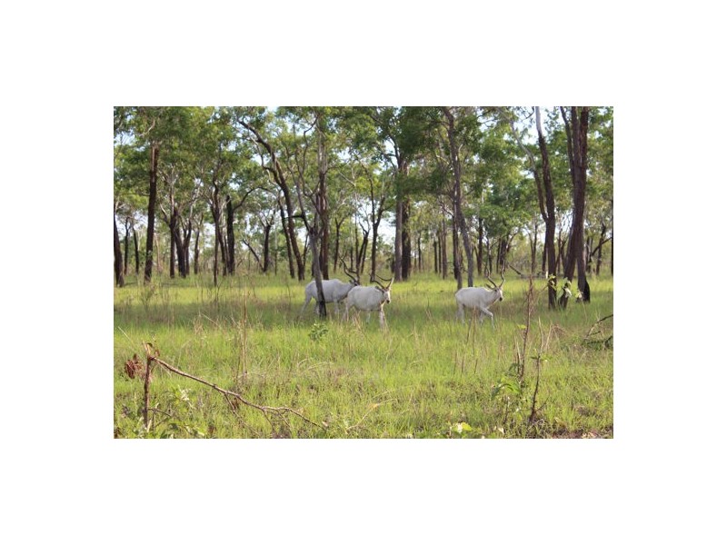 NT Portion 1631 KAKDU HIGHWAY, MARY RIVER EAST STATION, Pine Creek NT 0847