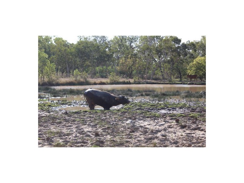 NT Portion 1631 KAKDU HIGHWAY, MARY RIVER EAST STATION, Pine Creek NT 0847