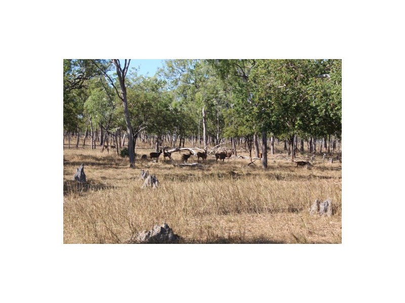 NT Portion 1631 KAKDU HIGHWAY, MARY RIVER EAST STATION, Pine Creek NT 0847