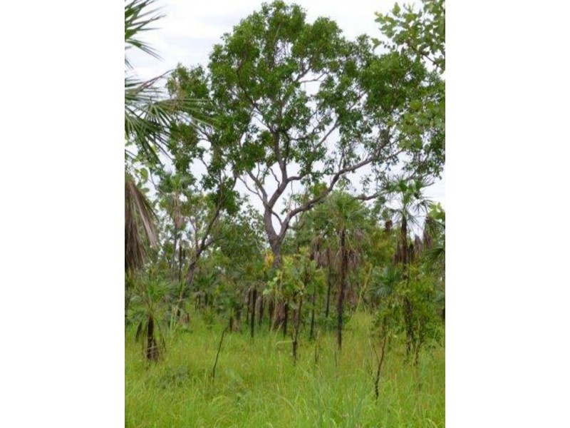 640B Letchford Road, Berry Springs NT 0838