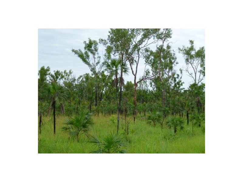 640B Letchford Road, Berry Springs NT 0838