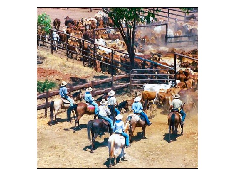 NT Portion 6517 CONWAYS CATTLE STATION, Katherine NT 0850