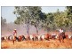 NT Portion 6517 CONWAYS CATTLE STATION, Katherine NT 0850
