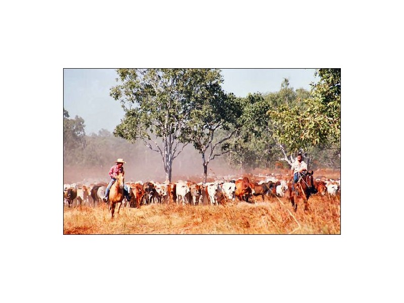 NT Portion 6517 CONWAYS CATTLE STATION, Katherine NT 0850