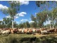 NT Portion 6517 CONWAYS CATTLE STATION, Katherine NT 0850