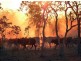 NT Portion 6517 CONWAYS CATTLE STATION, Katherine NT 0850