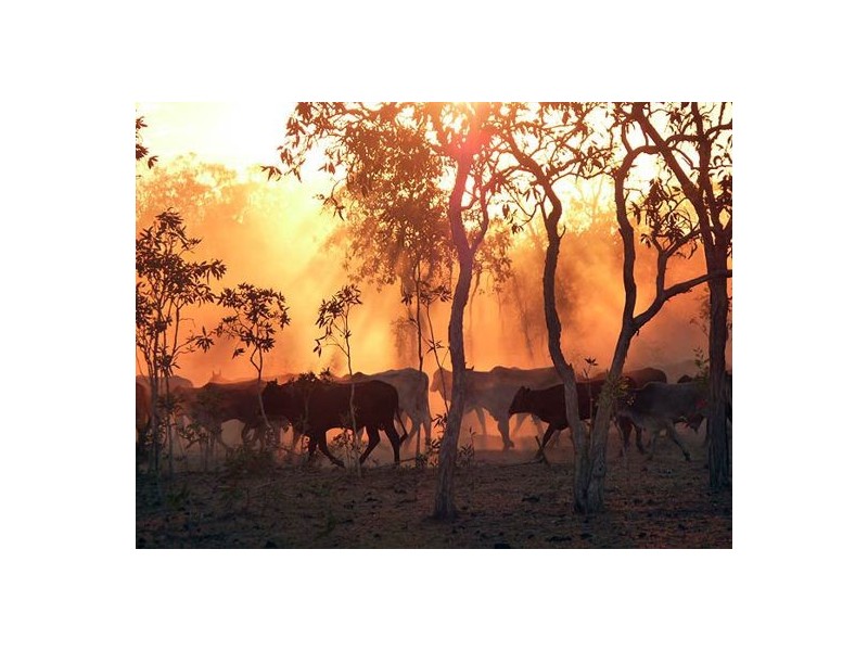 NT Portion 6517 CONWAYS CATTLE STATION, Katherine NT 0850