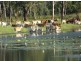 NT Portion 6517 CONWAYS CATTLE STATION, Katherine NT 0850