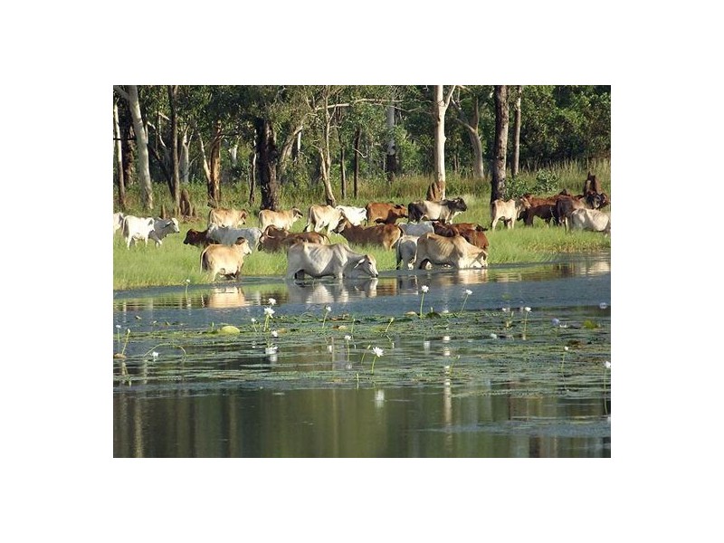 NT Portion 6517 CONWAYS CATTLE STATION, Katherine NT 0850
