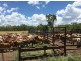 NT Portion 6517 CONWAYS CATTLE STATION, Katherine NT 0850