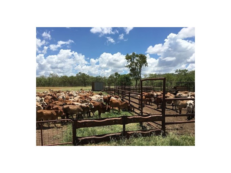 NT Portion 6517 CONWAYS CATTLE STATION, Katherine NT 0850