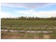 441 Barr Rd, Marrakai NT 0822