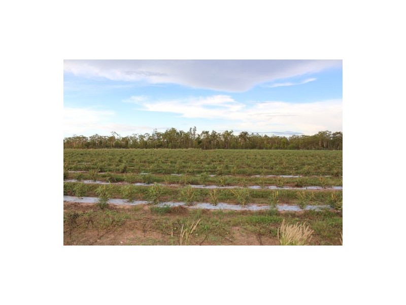 441 Barr Rd, Marrakai NT 0822