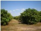 70 Nolan Rd, Lambells Lagoon NT 0822