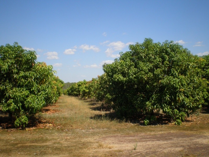 70 Nolan Rd, Lambells Lagoon NT 0822