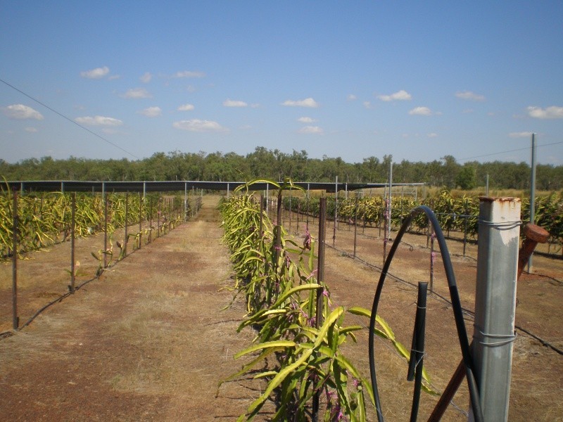 70 Nolan Rd, Lambells Lagoon NT 0822