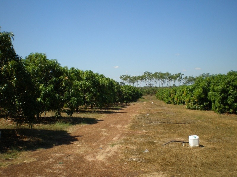 70 Nolan Rd, Lambells Lagoon NT 0822