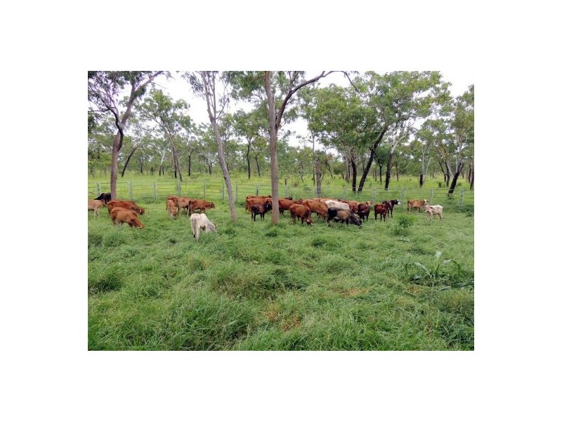 4182 STUART HIGHWAY, Katherine NT 0850