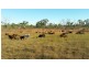 4182 STUART HIGHWAY, Katherine NT 0850