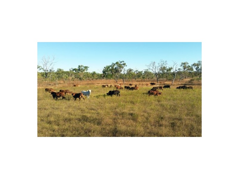 4182 STUART HIGHWAY, Katherine NT 0850