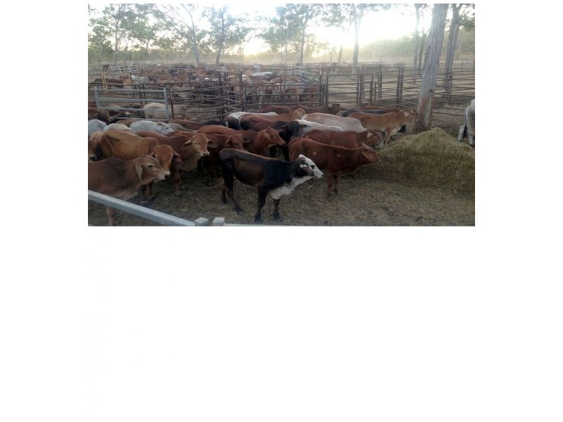 4182 STUART HIGHWAY, Katherine NT 0850