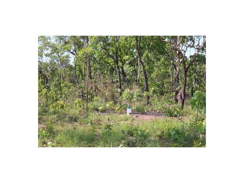 83 RIDGEVIEW ROAD, Berry Springs NT 0838