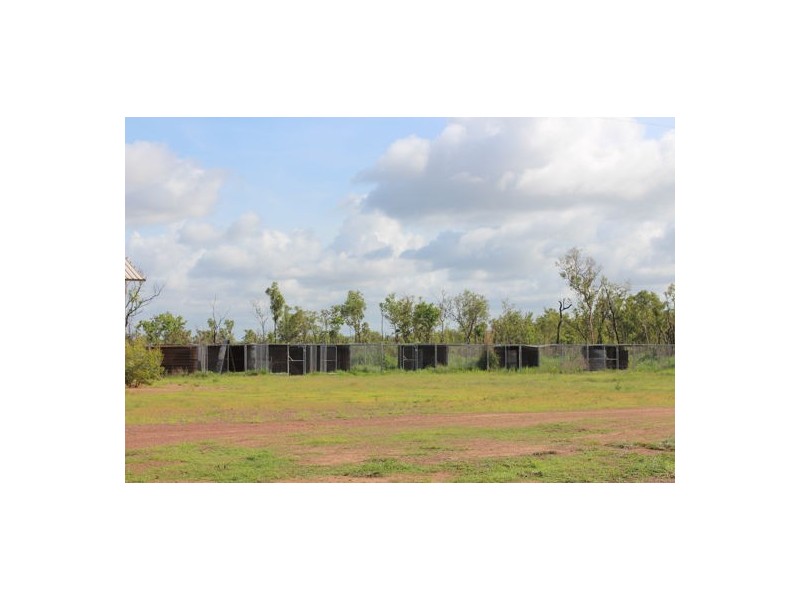 708 CHEENEY ROAD, Batchelor NT 0845