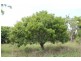 625 Leoninio Road, Darwin River NT 0841