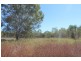 1375 Leonino Road, Darwin River NT 0841