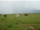 630 HAYNES ROAD, Adelaide River NT 0846
